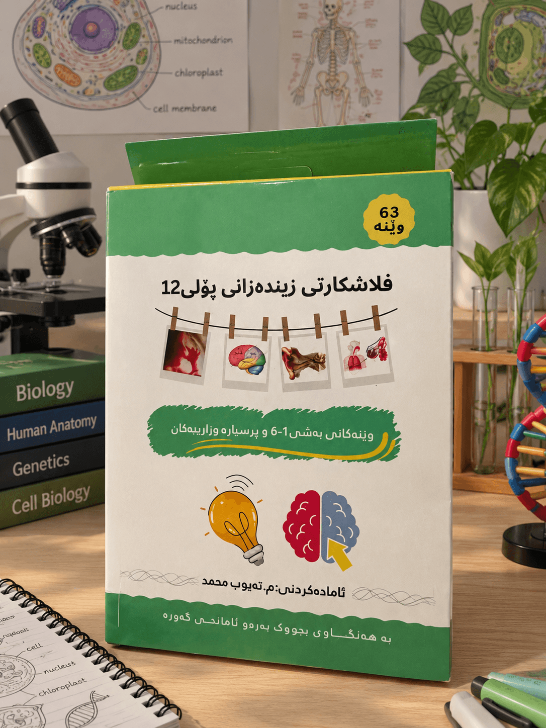 فلاشکارتی م. تەیوب